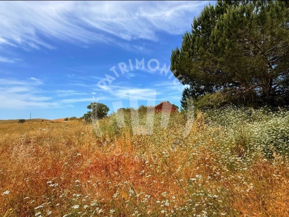 Farm i Cercal do Alentejo, Setubal - foto 2