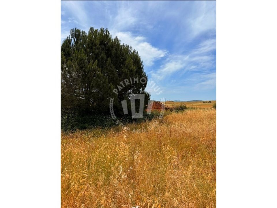 Farm i Cercal do Alentejo, Setubal - foto 4