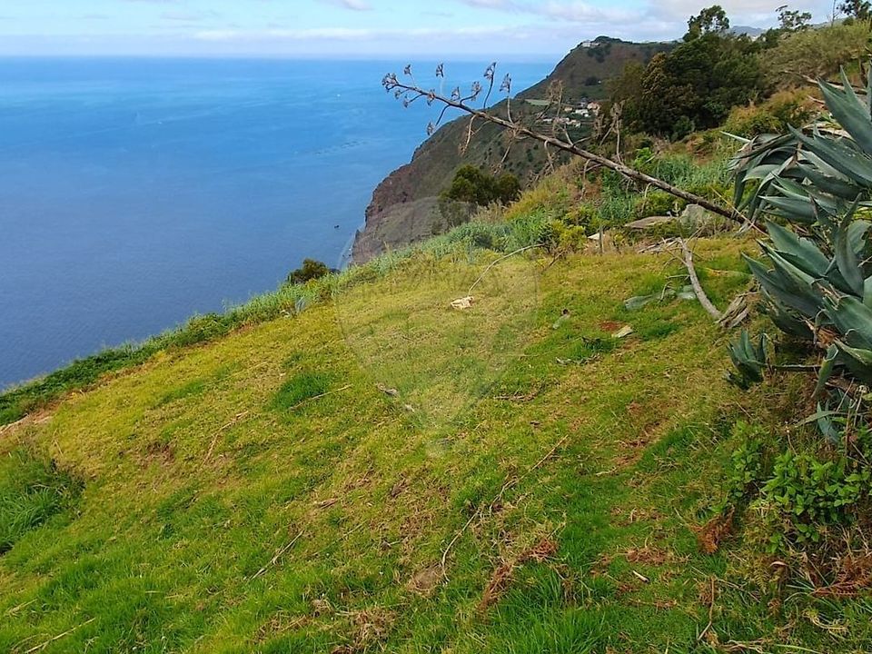 Helårsgrund i Ponta do Sol, Madeira - foto 1