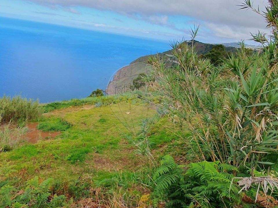 Helårsgrund i Ponta do Sol, Madeira - foto 4