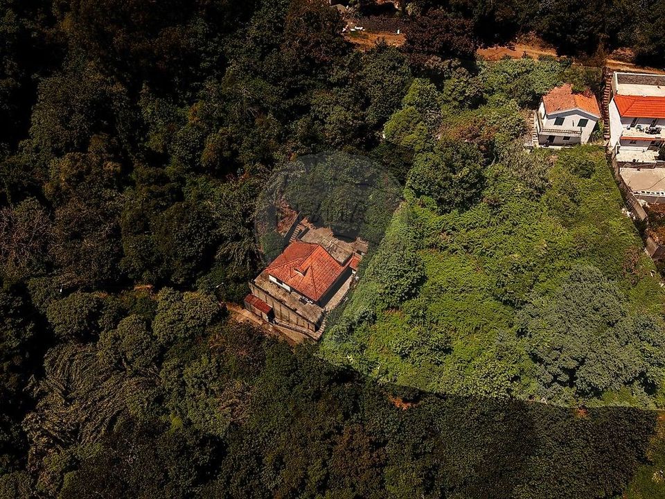 Villa i Santa Cruz, Madeira - foto 5