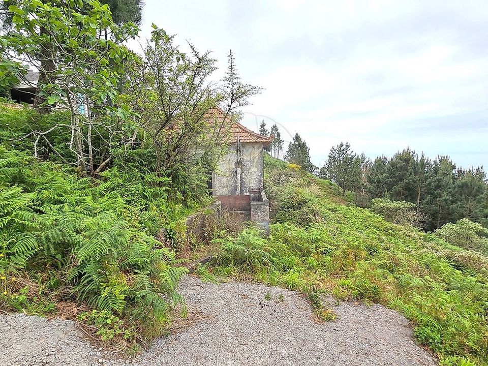 Erhvervsejendom i Santa Cruz, Madeira - foto 4
