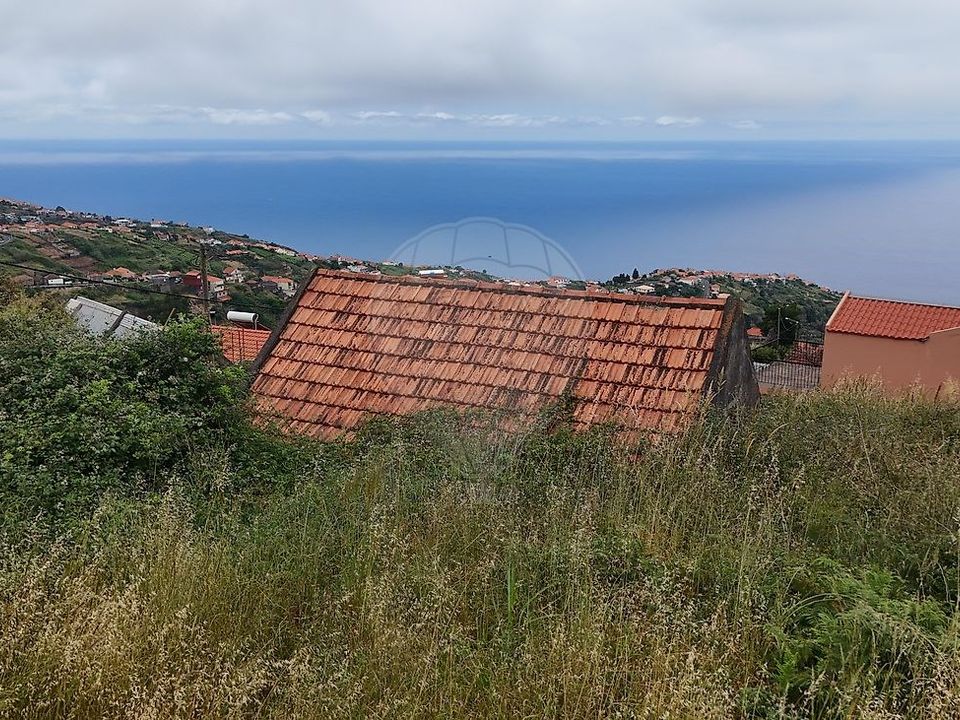 Helårsgrund i Calheta, Madeira - foto 1