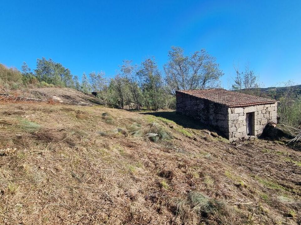 Działka: Fornos de Algodres, Guarda – zdjęcie 2