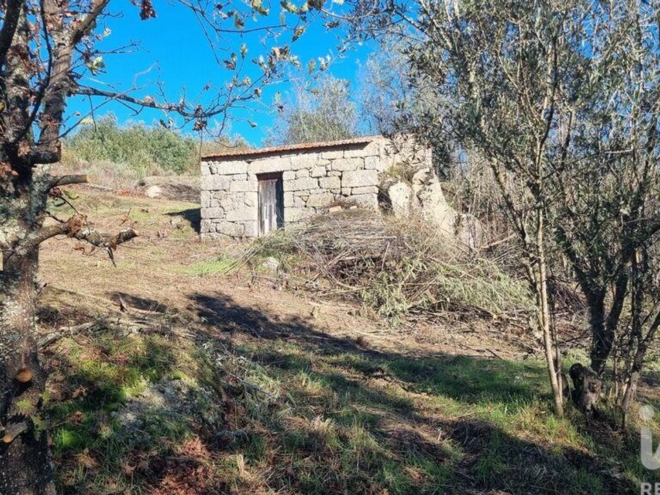 Terra em Fornos de Algodres, Guarda - foto 1