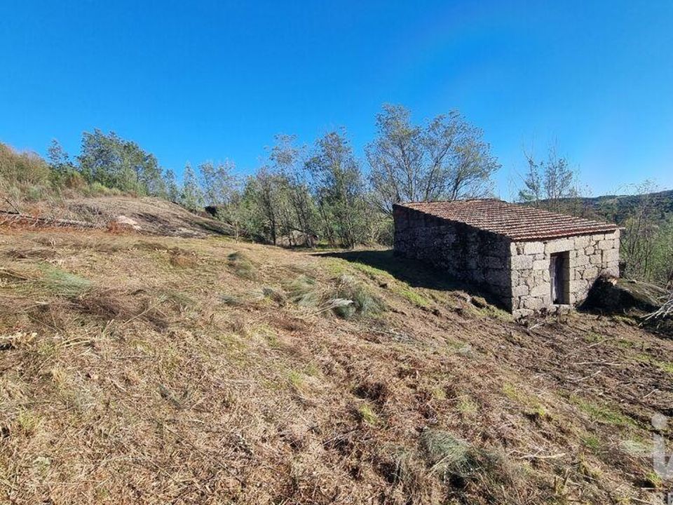 Terra em Fornos de Algodres, Guarda - foto 2