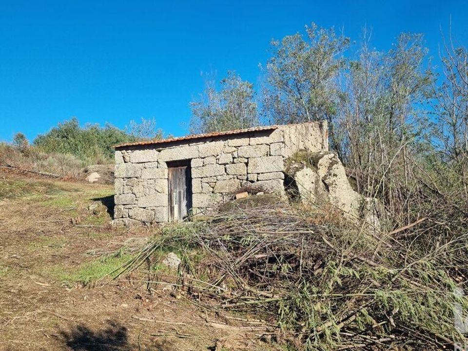 Terra em Fornos de Algodres, Guarda - foto 3