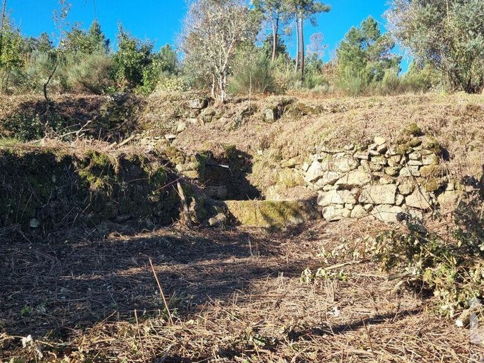 Terra em Fornos de Algodres, Guarda - foto 5