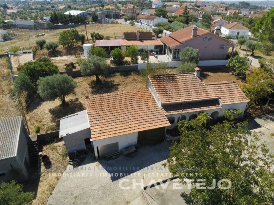Gospodarstwo: Tomar, Santarem – zdjęcie 2