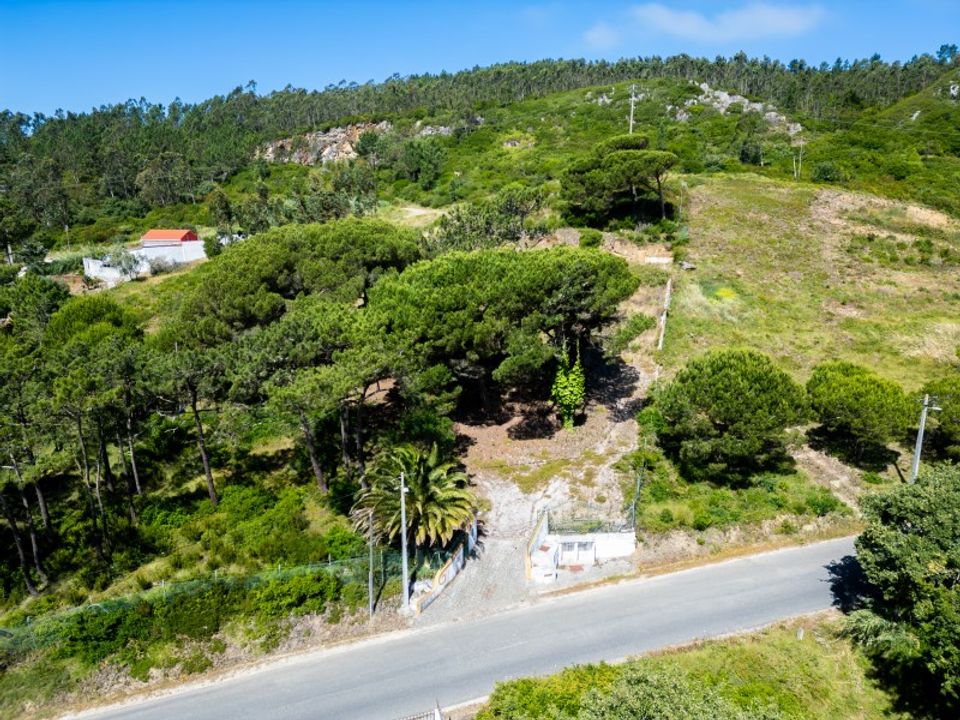 Helårsgrund i Nazare, Leiria - foto 3