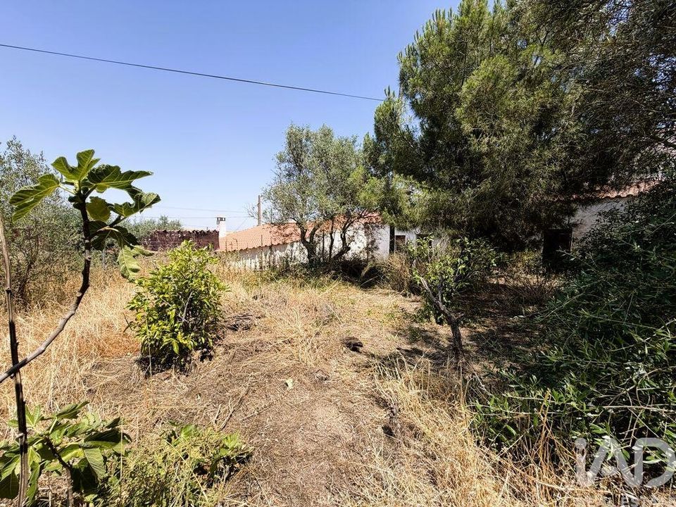 Casa unifamiliar a Castro Verde, Beja - foto 4