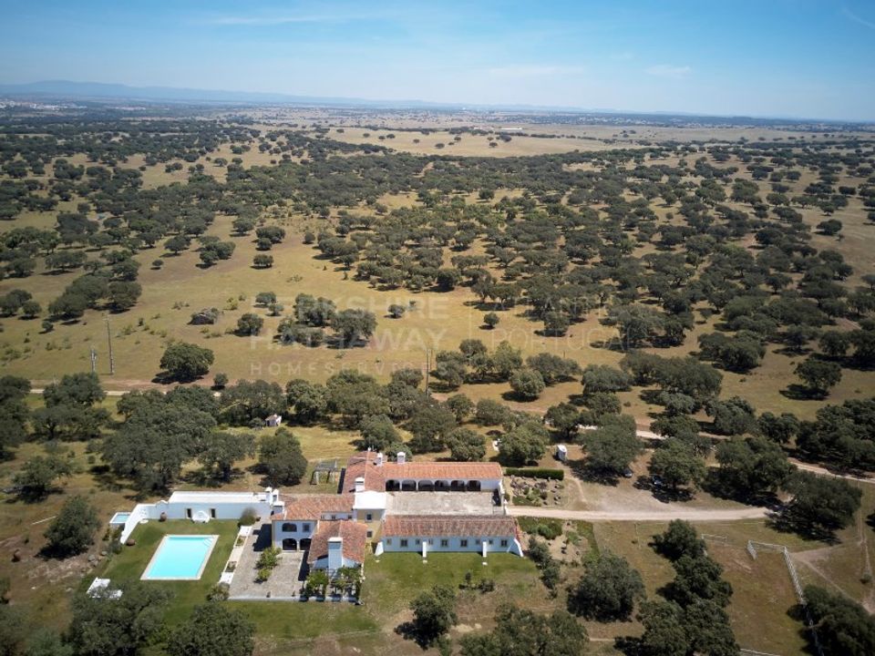 Masia a Monforte, Portalegre - foto 4