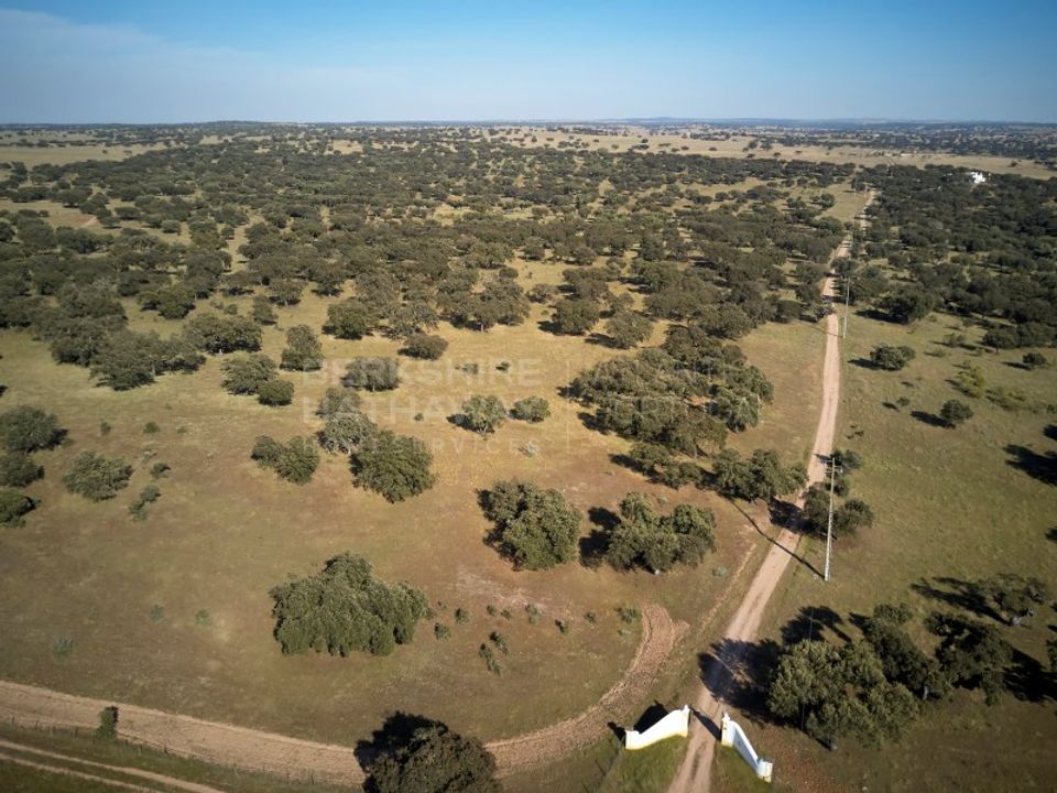 Masia a Monforte, Portalegre - foto 5