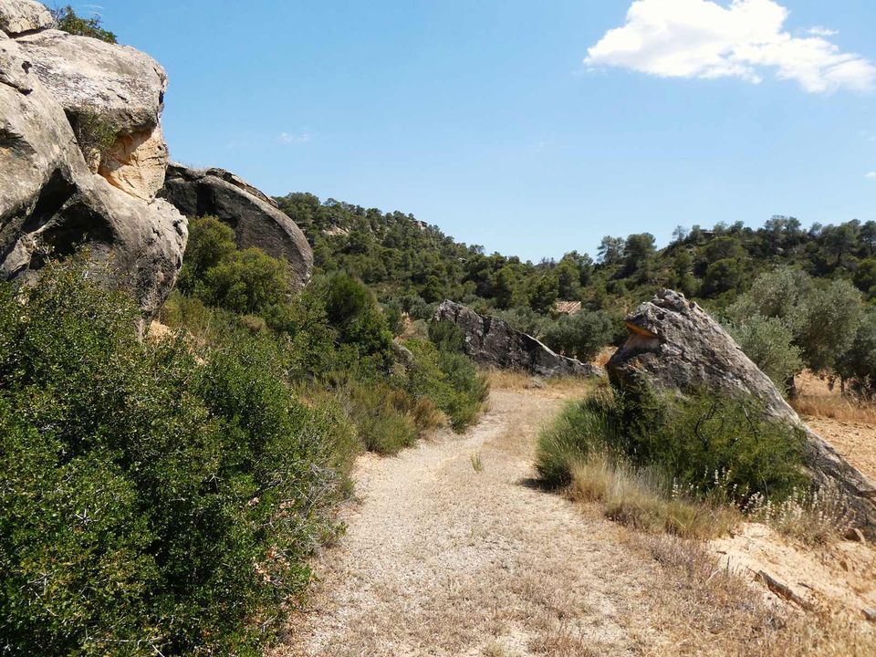 Finca i Maella, Zaragoza - bilde 3