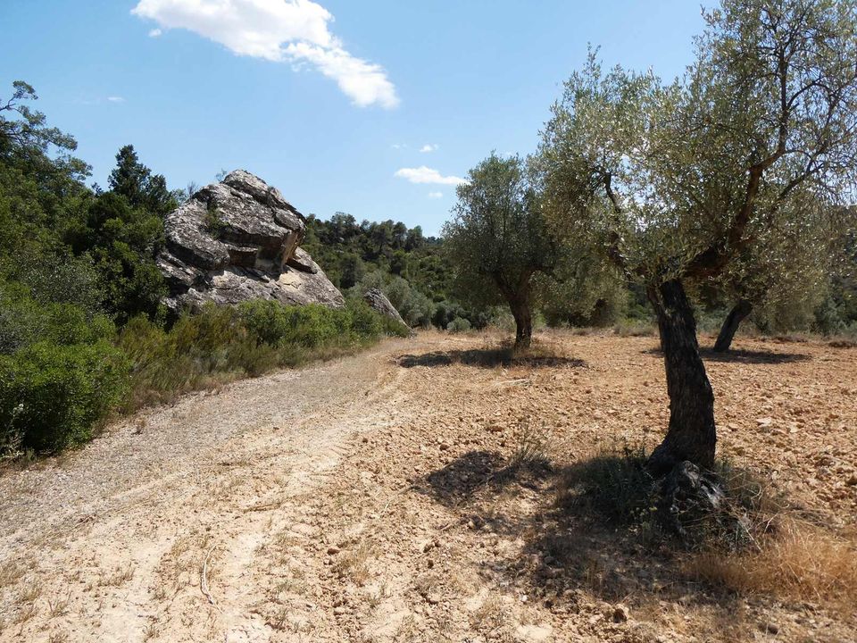 Finca i Maella, Zaragoza - bilde 2