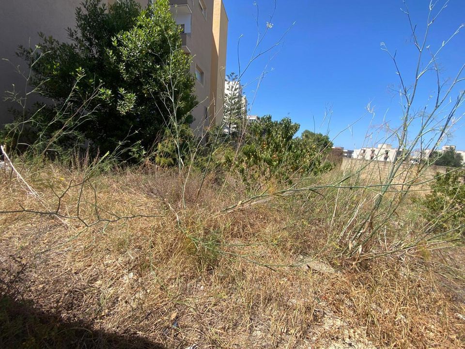Terra a Gallipoli, Lecce - foto 5
