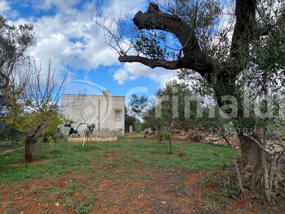 Tomt i Sannicola, Lecce - bilde 1