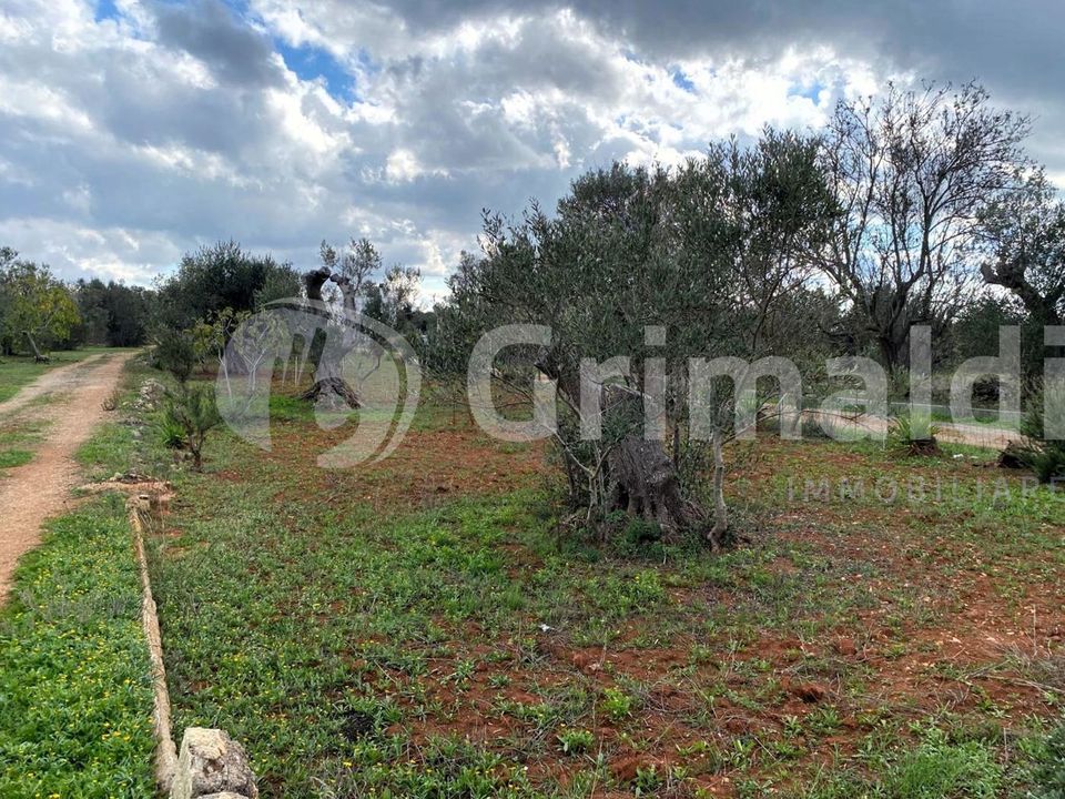 Tomt i Sannicola, Lecce - bilde 2