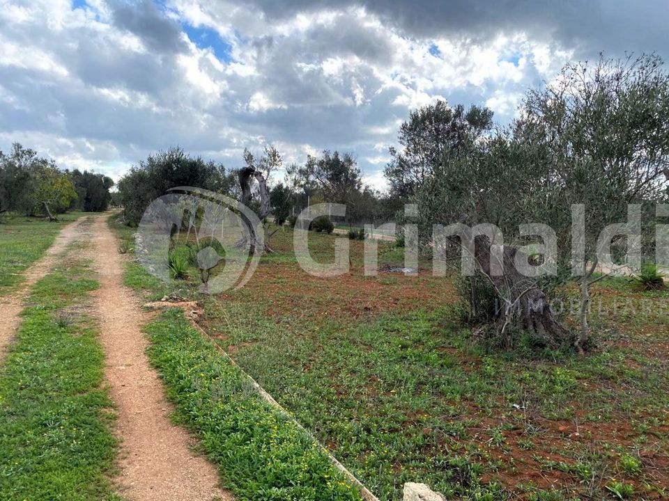 Tomt i Sannicola, Lecce - bilde 3