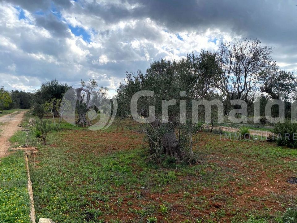Tomt i Sannicola, Lecce - bilde 4