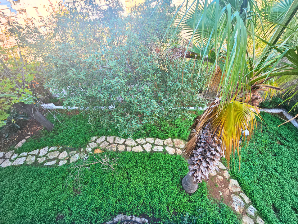 Villa a Gallipoli, Lecce - foto 4