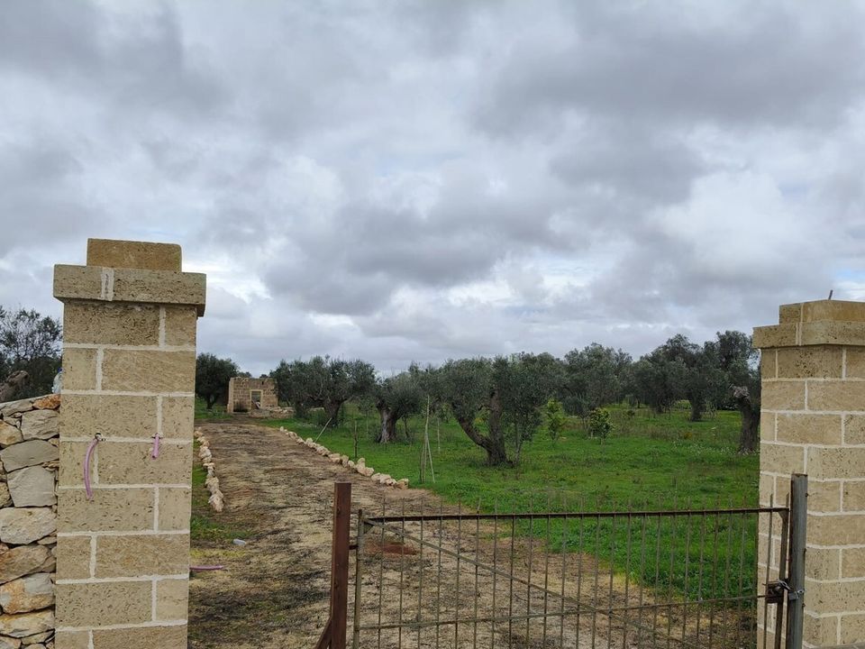 Tomt i Sannicola, Lecce - bilde 3