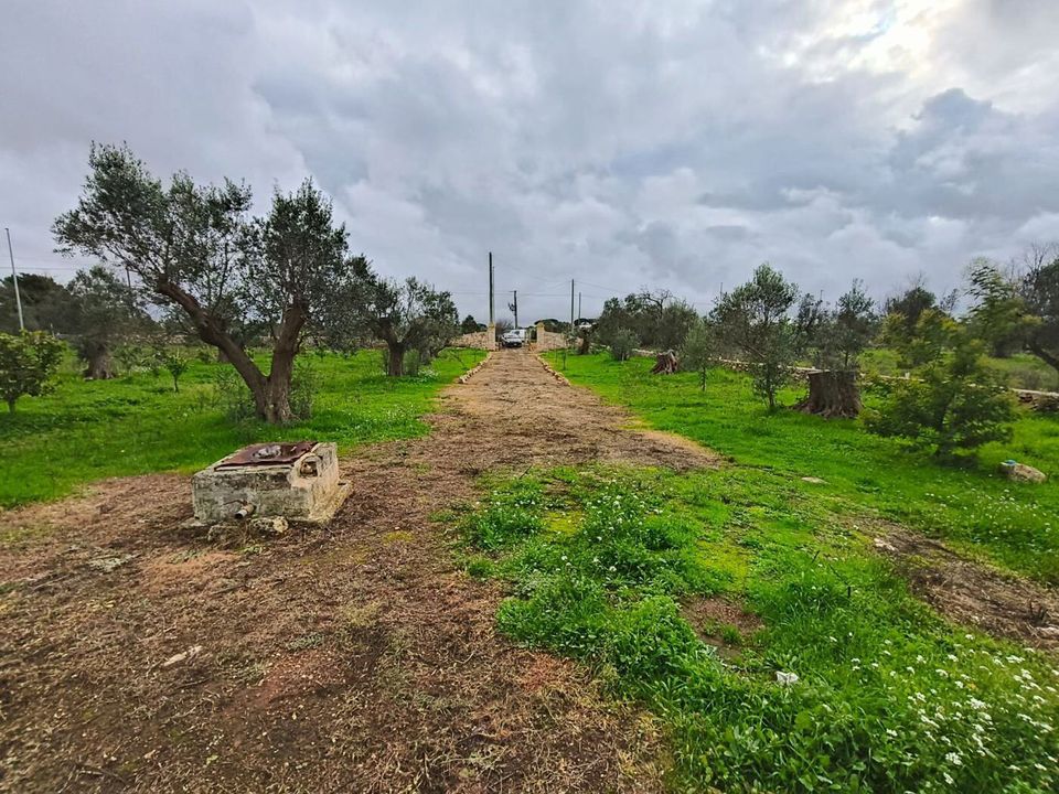 Tomt i Sannicola, Lecce - bilde 4