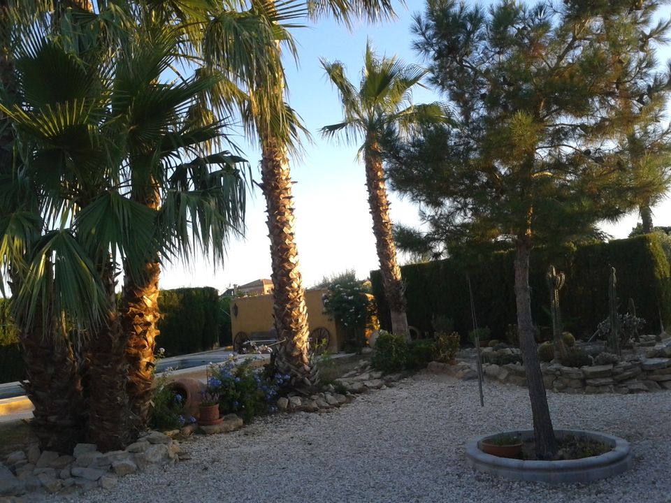 Finca i Orihuela, Alicante - foto 2