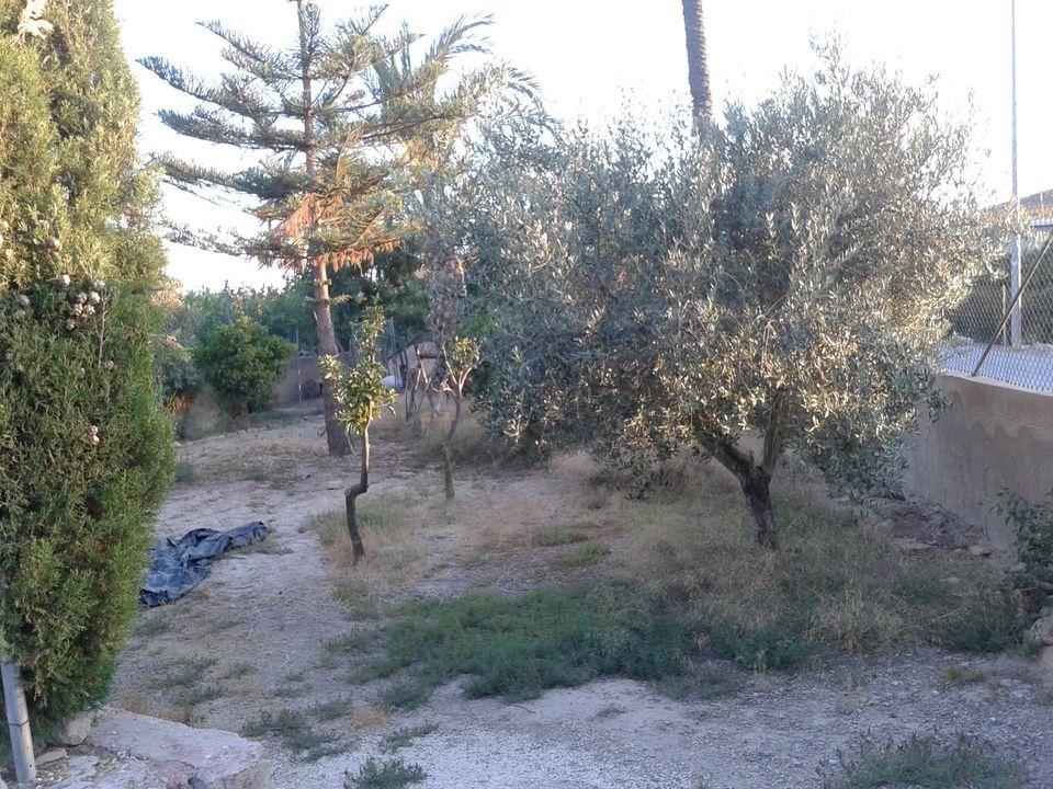 Finca i Orihuela, Alicante - foto 3