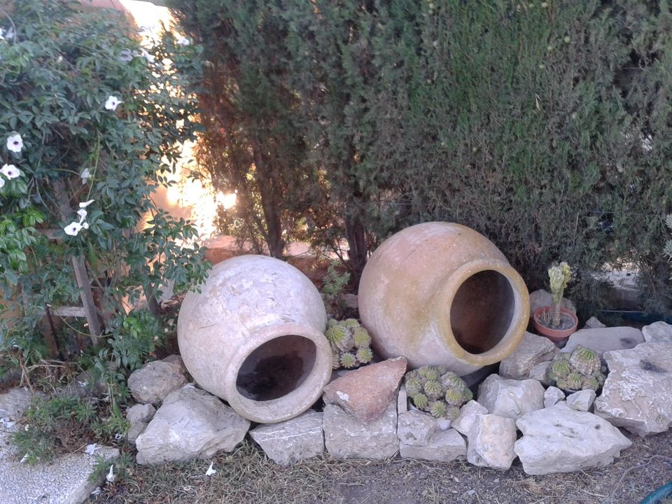 Finca i Orihuela, Alicante - foto 4
