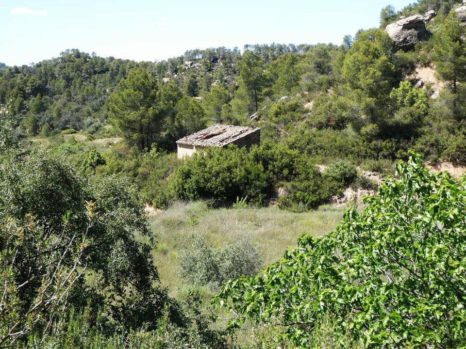 Finca i Arens De Lledo, Teruel - foto 1