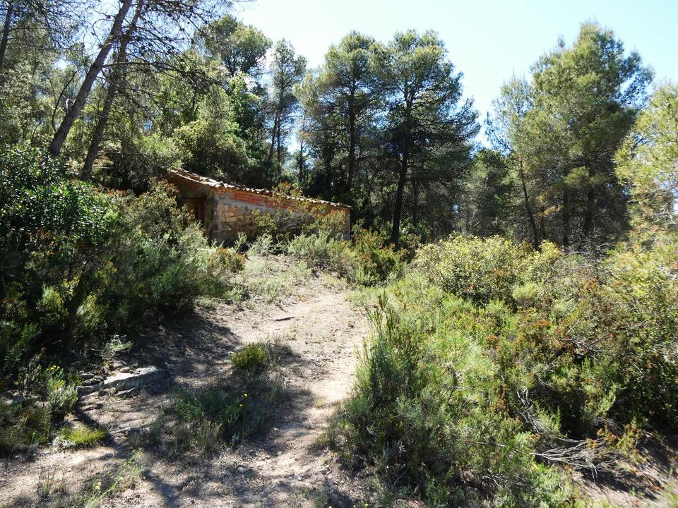 Finca i Arens De Lledo, Teruel - foto 4