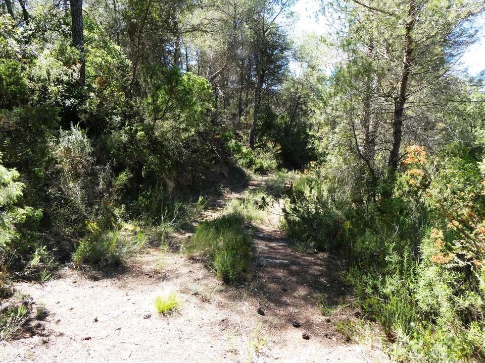Finca i Arens De Lledo, Teruel - foto 2
