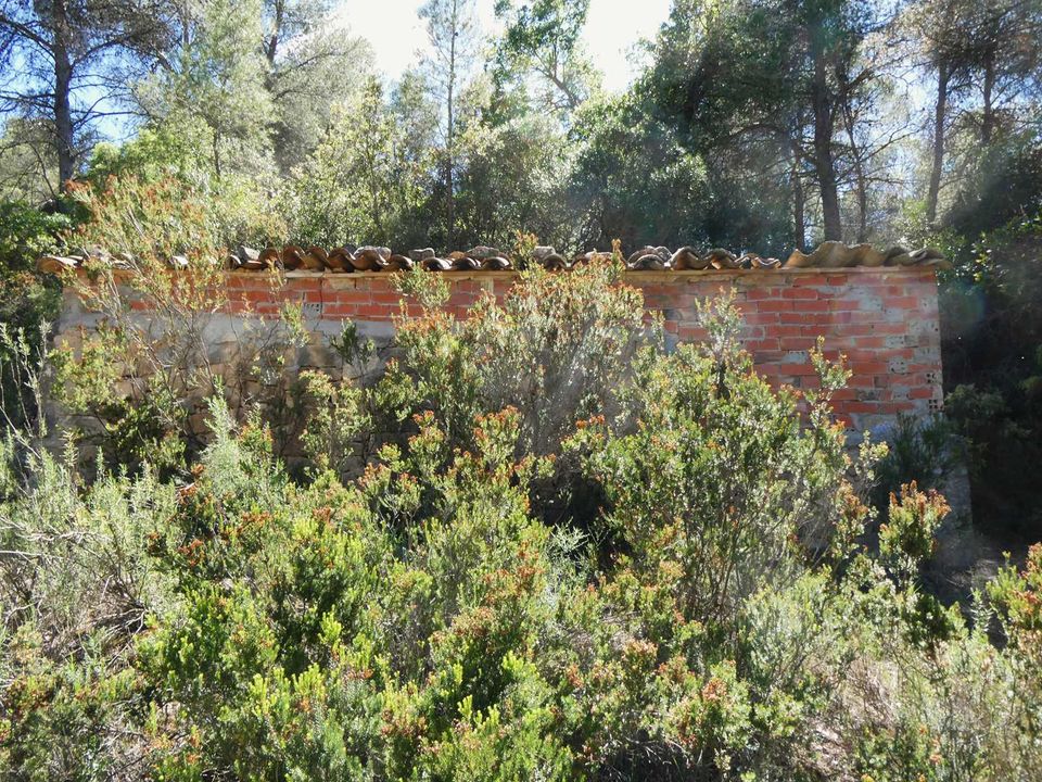 Finca i Arens De Lledo, Teruel - foto 5