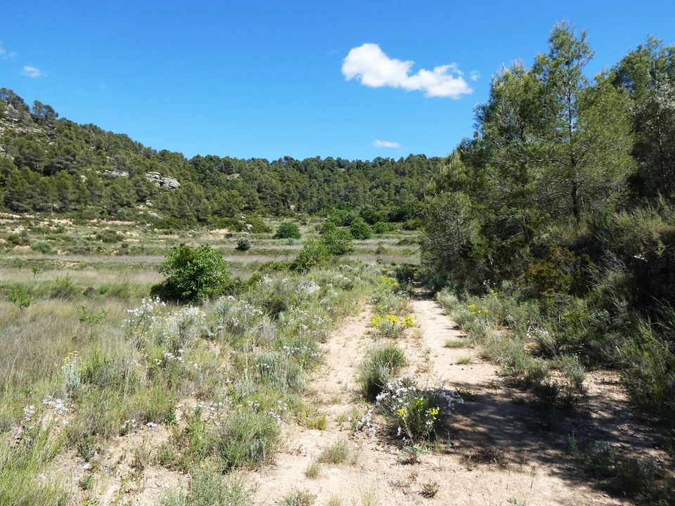 Finca i Arens De Lledo, Teruel - foto 3