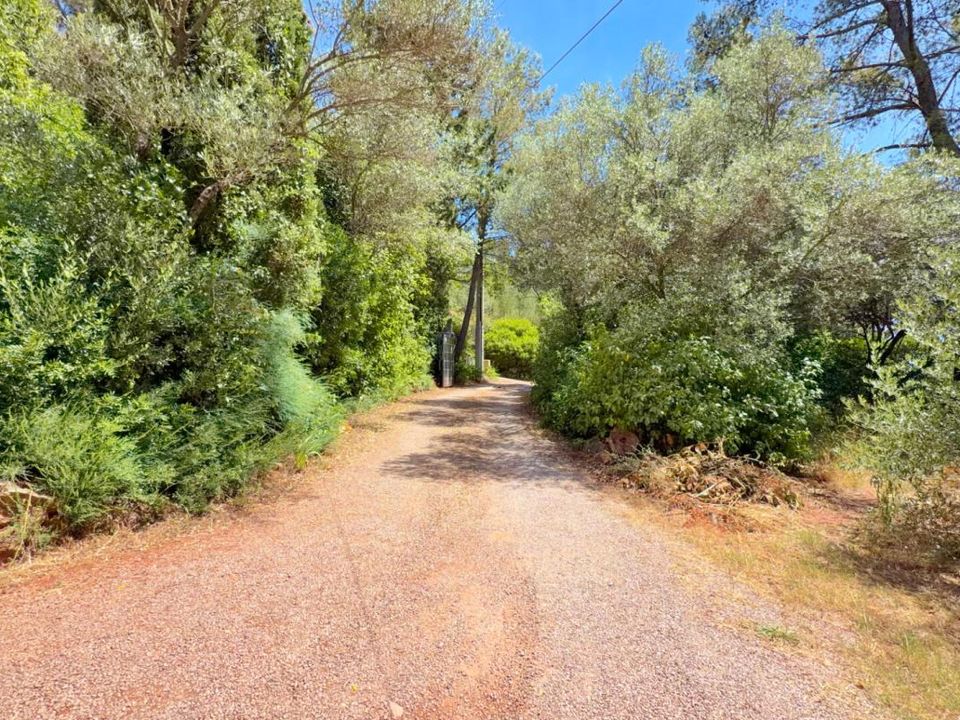 Villa i Le Cannet-des-Maures, Var - bilde 4