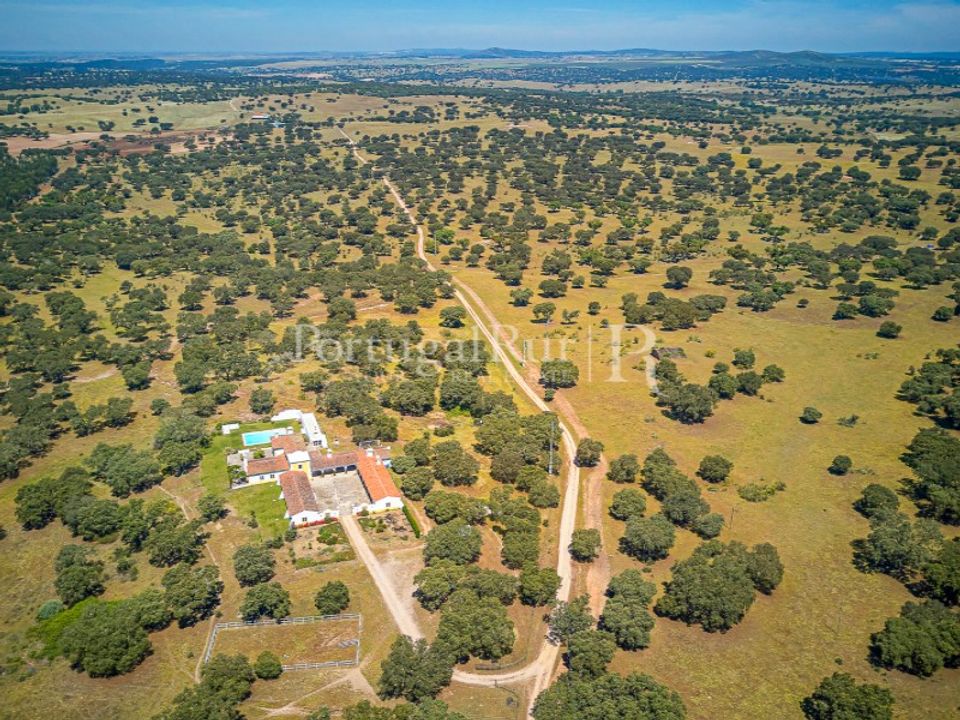 Granja a Monforte, Portalegre - foto 3