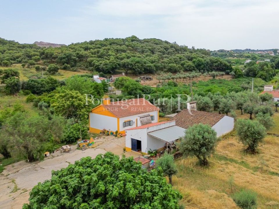 Gård i Borba, Evora - bilde 1