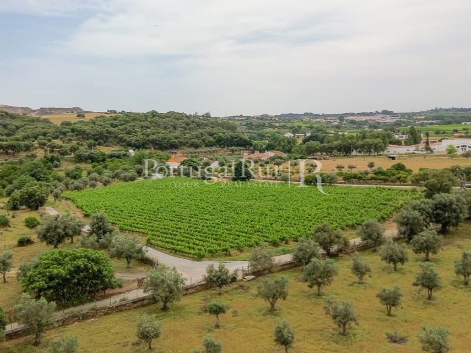 Gård i Borba, Evora - bilde 2