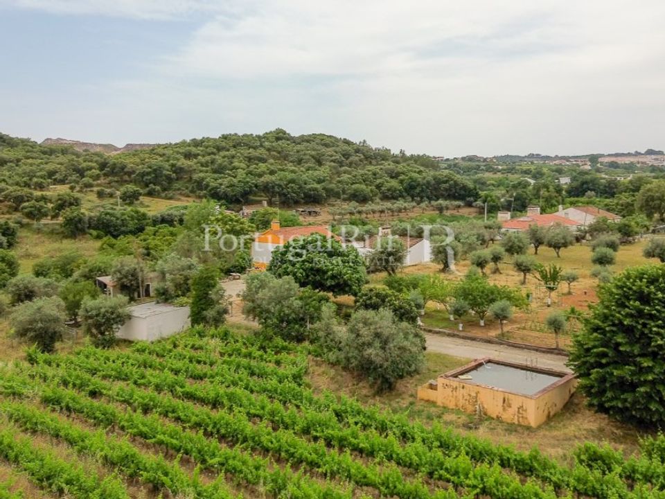 Gård i Borba, Evora - bilde 4