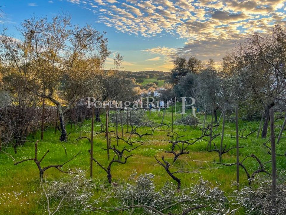 Granja a Crato, Portalegre - foto 3