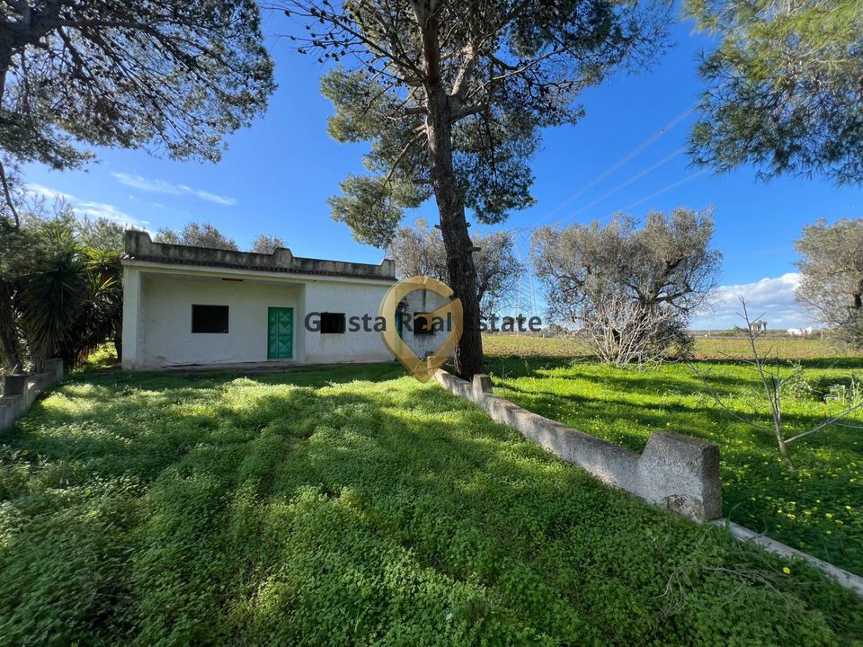 Villa a Mesagne, Brindisi - foto 3