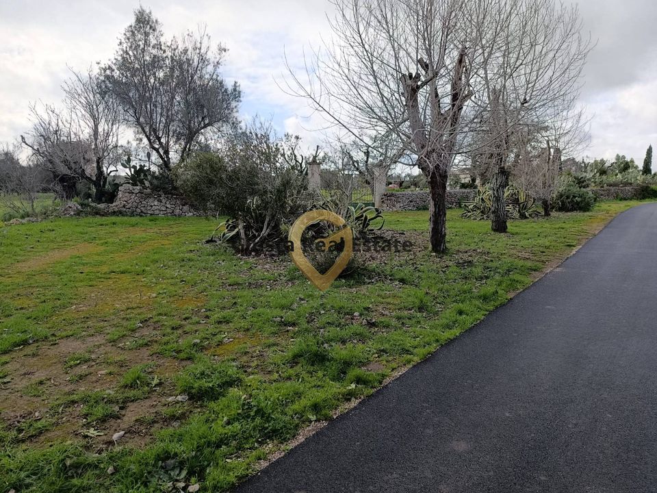 Helårsgrund i San Vito dei Normanni, Brindisi - foto 4