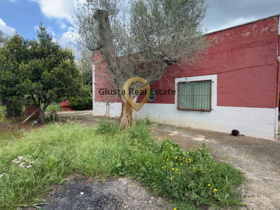 Villa a Latiano, Brindisi - foto 2