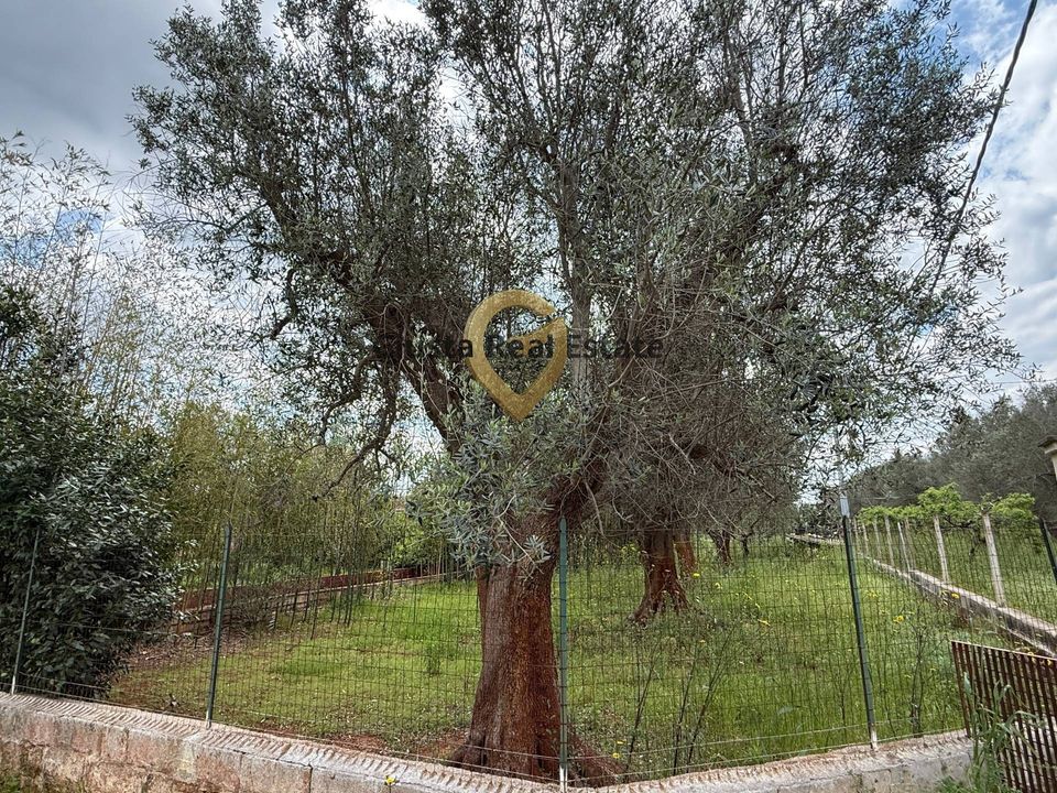 Villa a Latiano, Brindisi - foto 4