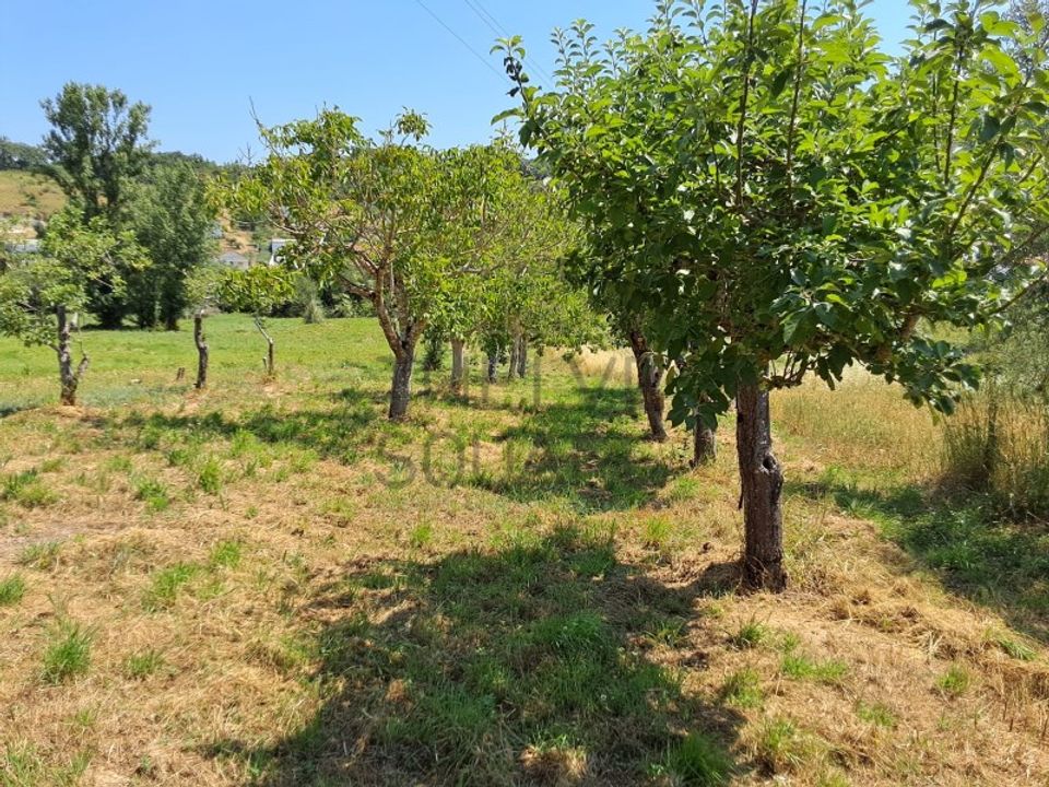 Helårsgrund i Leiria, Leiria - foto 2