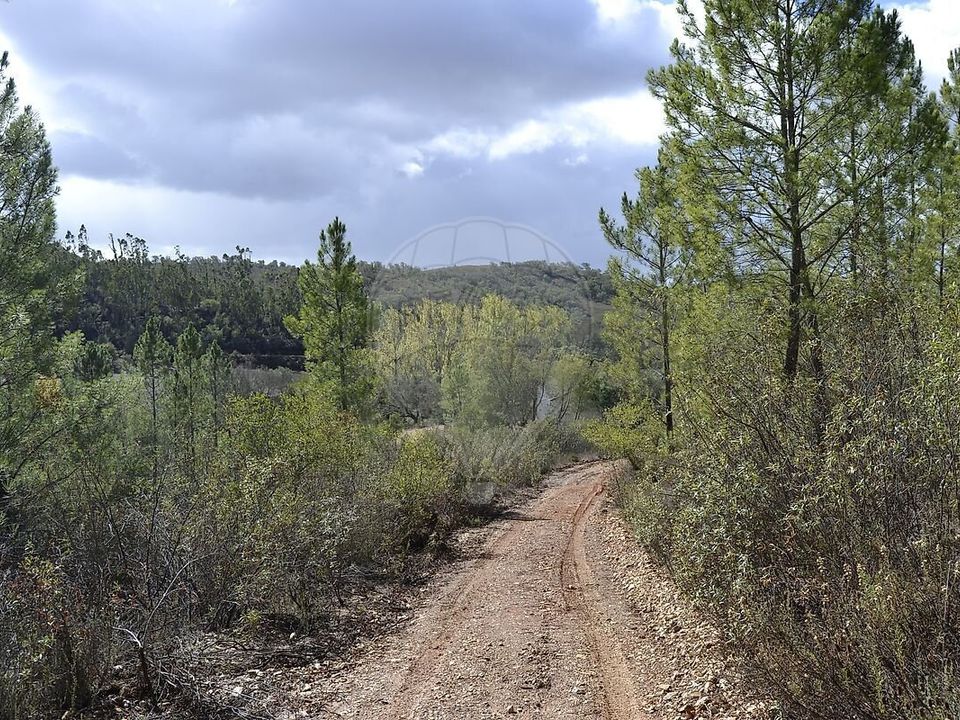 Farm i Odemira, Beja - foto 4