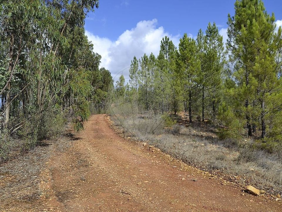 Farm i Odemira, Beja - foto 5
