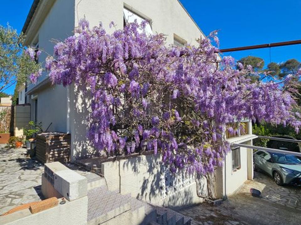 Estudi a Montpellier, Herault - foto 1