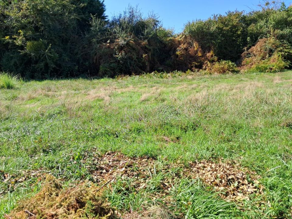 Terra a Saint-Loubes, Gironde - foto 1